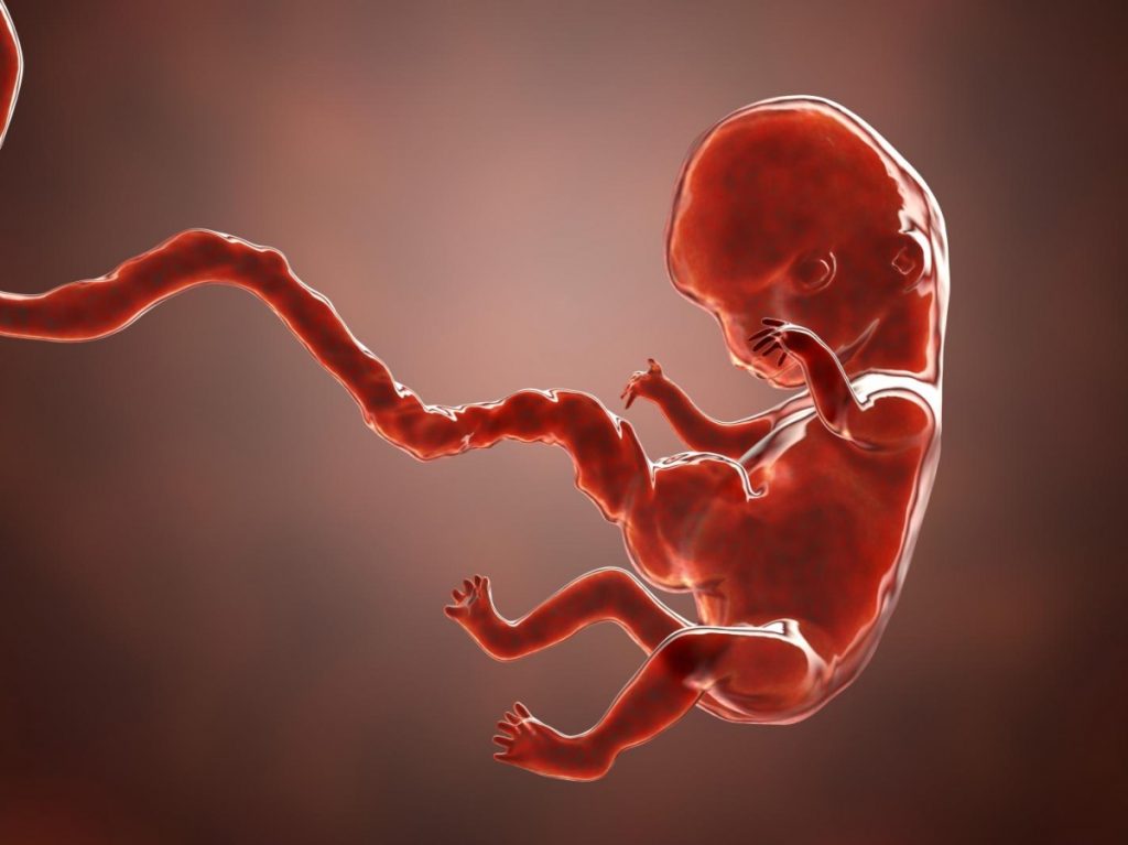 #Apnée 3.0 Le #Nourrisson et le #Grand #Bleu